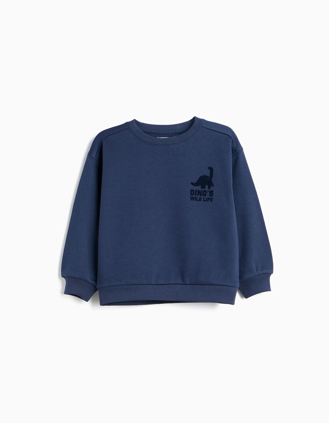 Sweatshirt Estampada, Menino, Azul Escuro