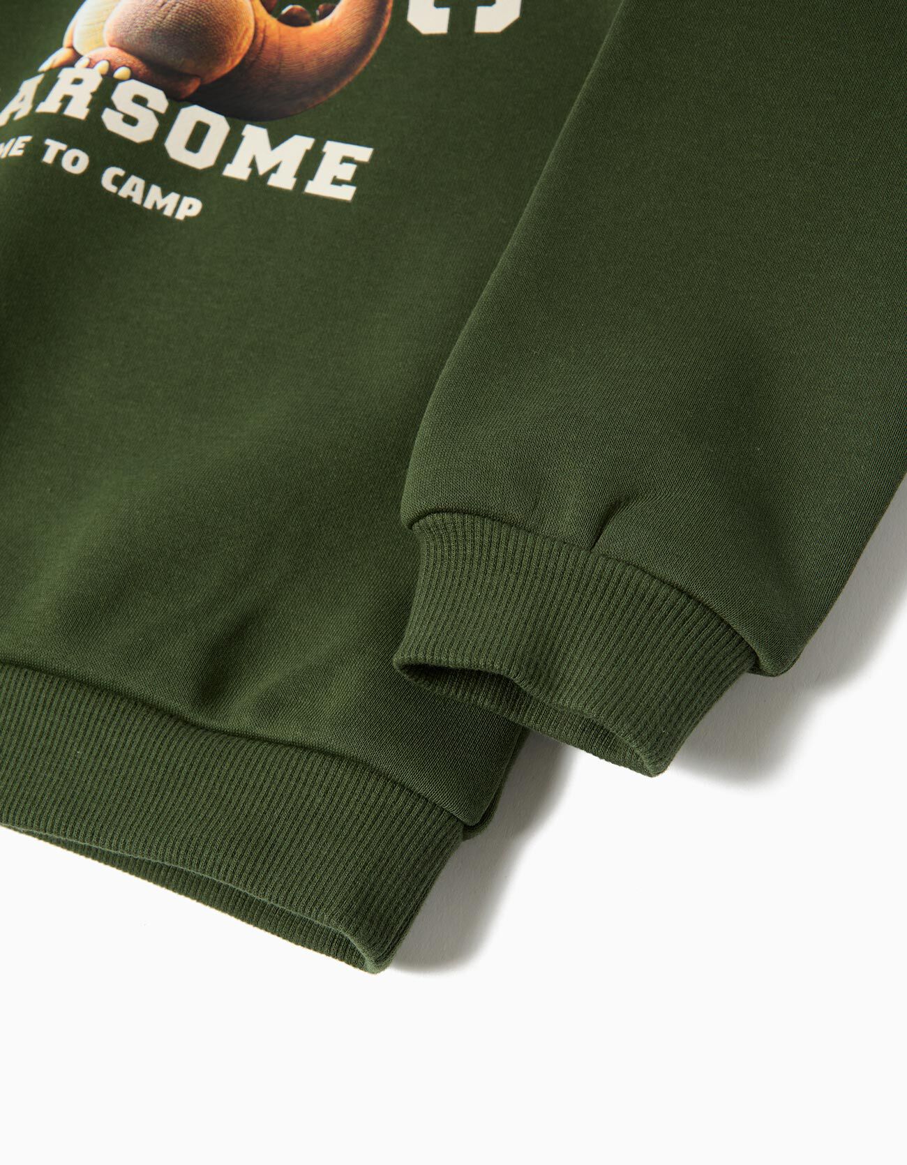 Comprar Online Sweatshirt de Felpa, Menino, Verde Escuro