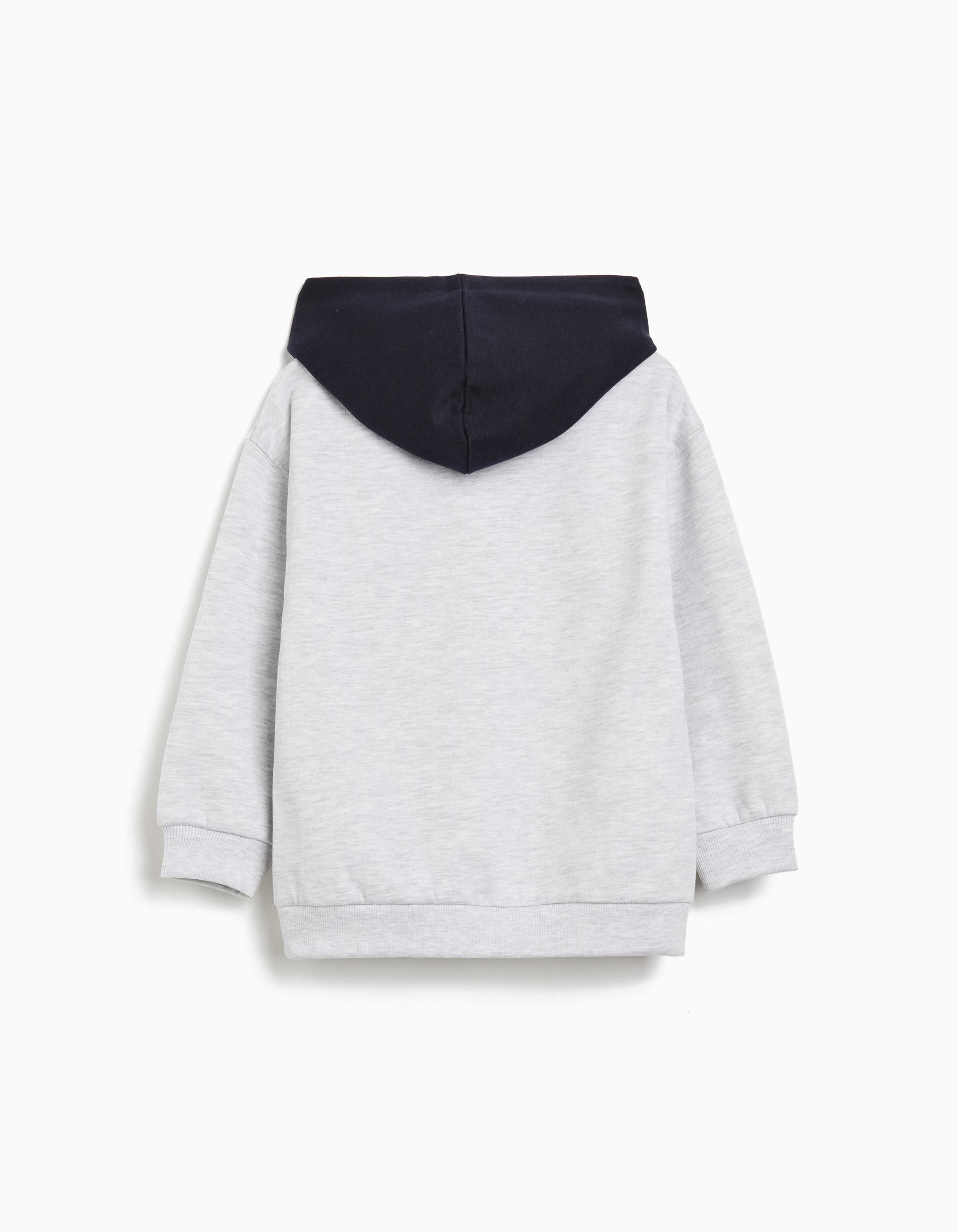 Comprar Online Sweatshirt com Capuz, Menino, Cinzento Claro