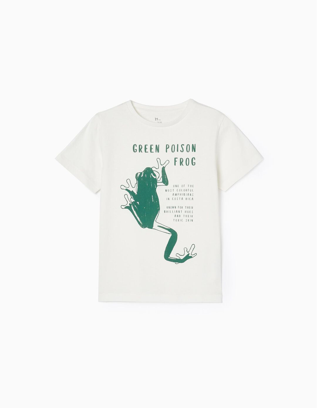 Cotton T-shirt for Boys 'Frog', White