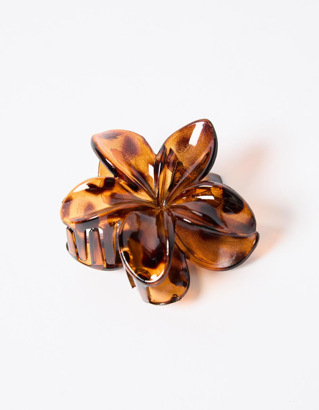 Mola de Cabelo Flor, Mulher, Castanho