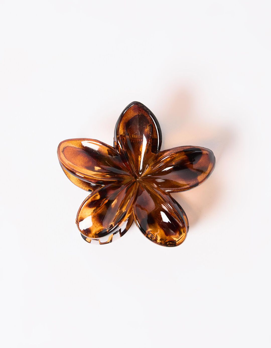 Mola de Cabelo Flor, Mulher, Castanho