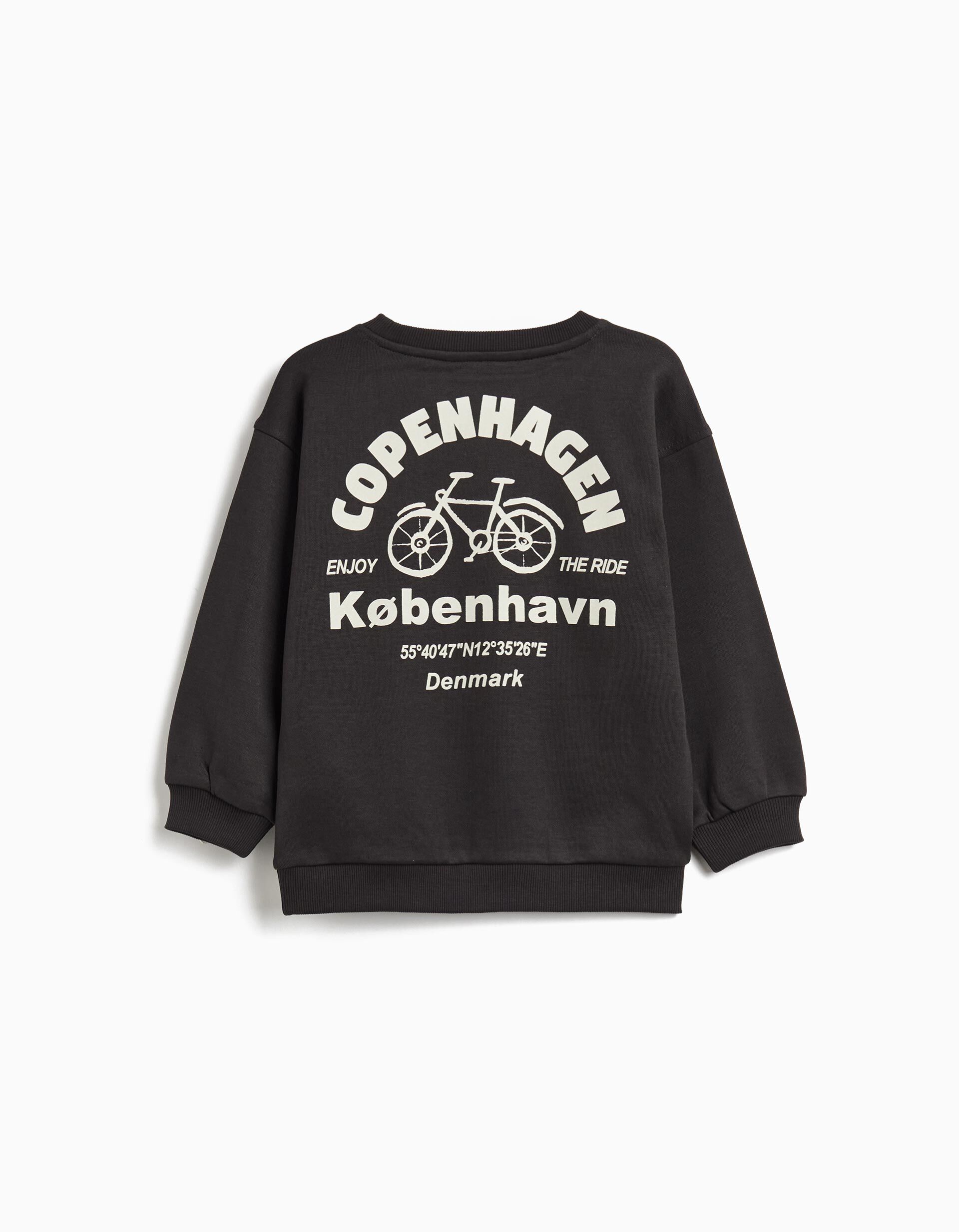 Comprar Online Sweatshirt de Felpa, Menino, Cinzento Escuro