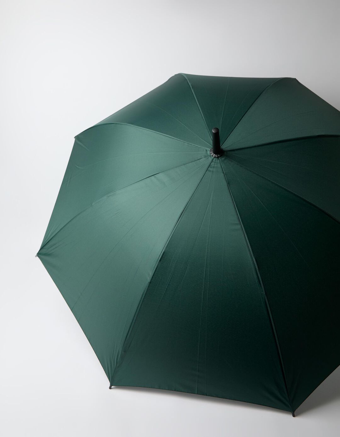 Guarda-Chuva Grande, Homem, Verde