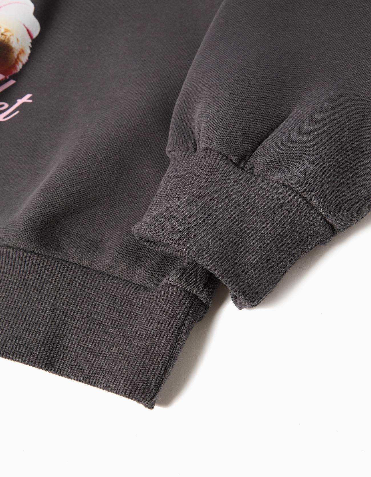 Comprar Online Sweatshirt de Felpa, Menina, Cinzento Escuro