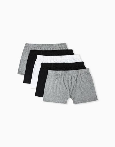5 Assorted Basic Boxer Shorts, Men