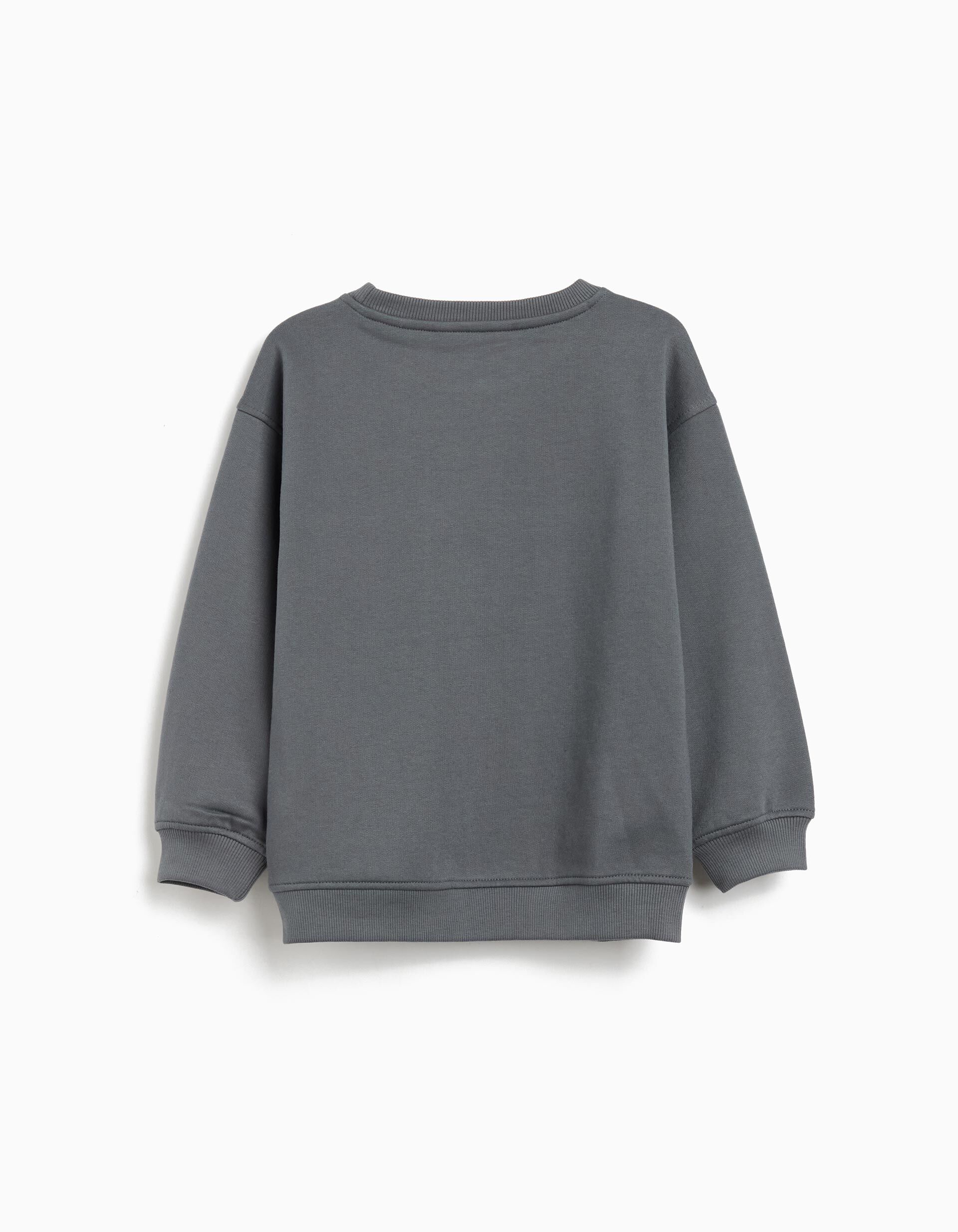 Comprar Online Sweatshirt de Felpa, Menino, Azul