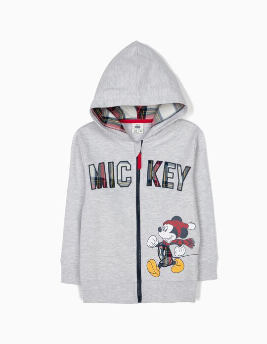 Grey Hooded Jacket with Checks, Mickey