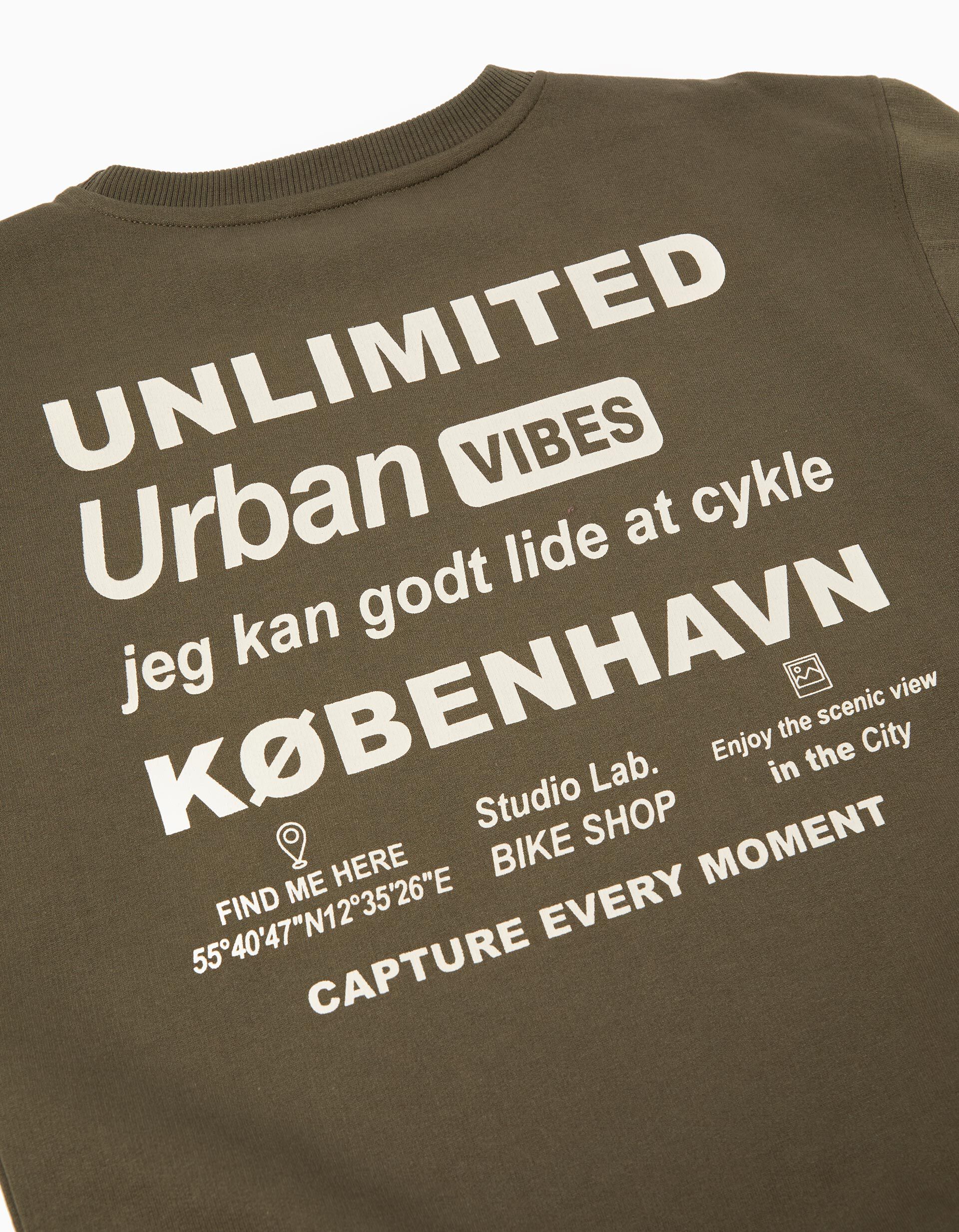 Comprar Online Sweatshirt de Felpa, Menino, Verde Escuro