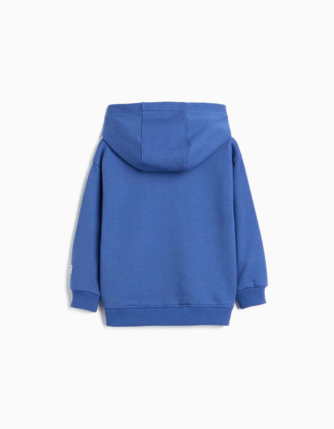 Sweatshirt Estampada Com Capuz, Menino, Azul