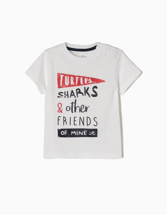 T-shirt Turtles Sharks
