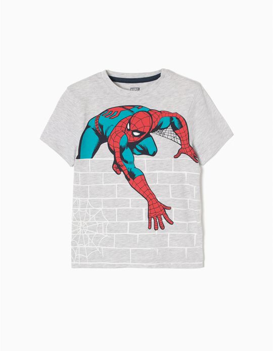 Grey T-Shirt, Spider-Man