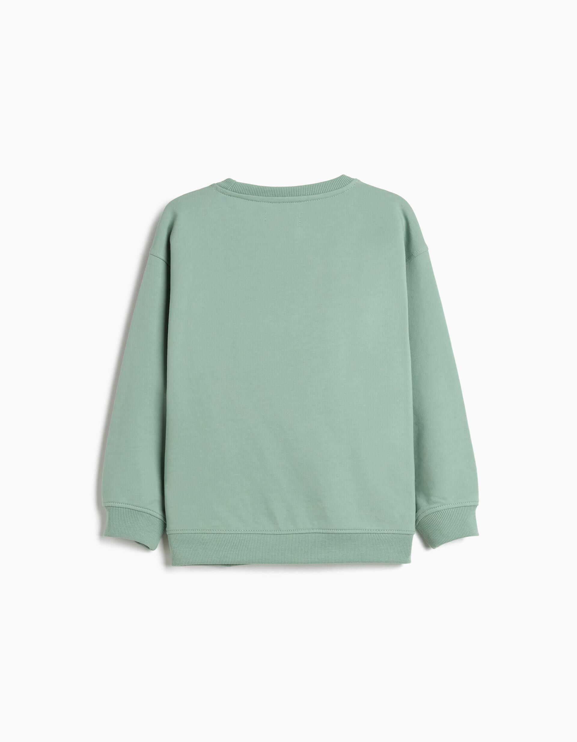 Comprar Online Sweatshirt, Menino, Verde Claro