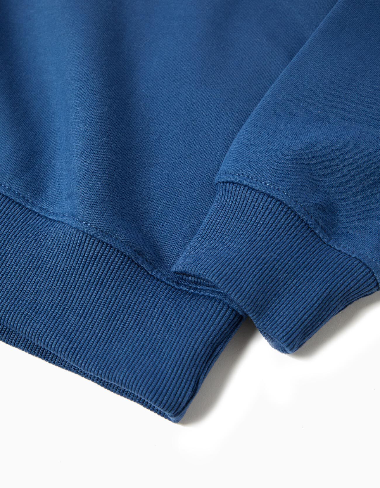 Comprar Online Sweatshirt de Felpa, Menino, Azul