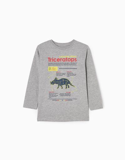 Long Sleeve T-shirt for Boys 'Dinosaur', Grey