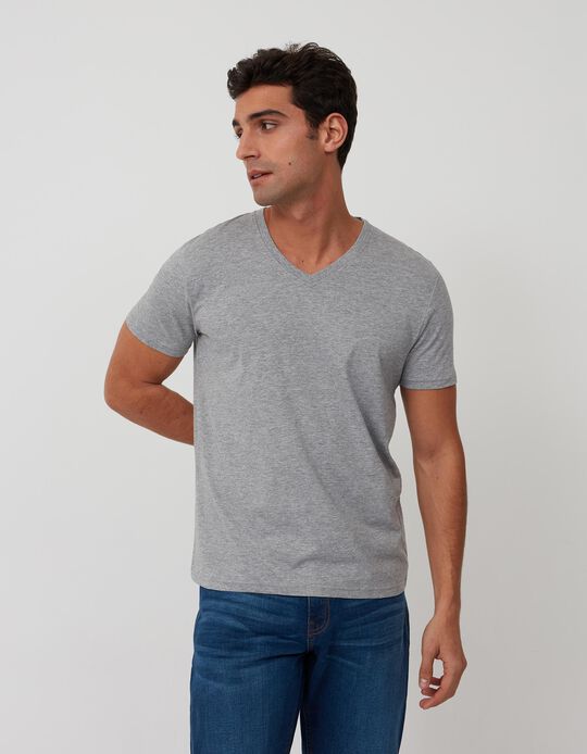 Basic V-Neck T-shirt, Men, Grey