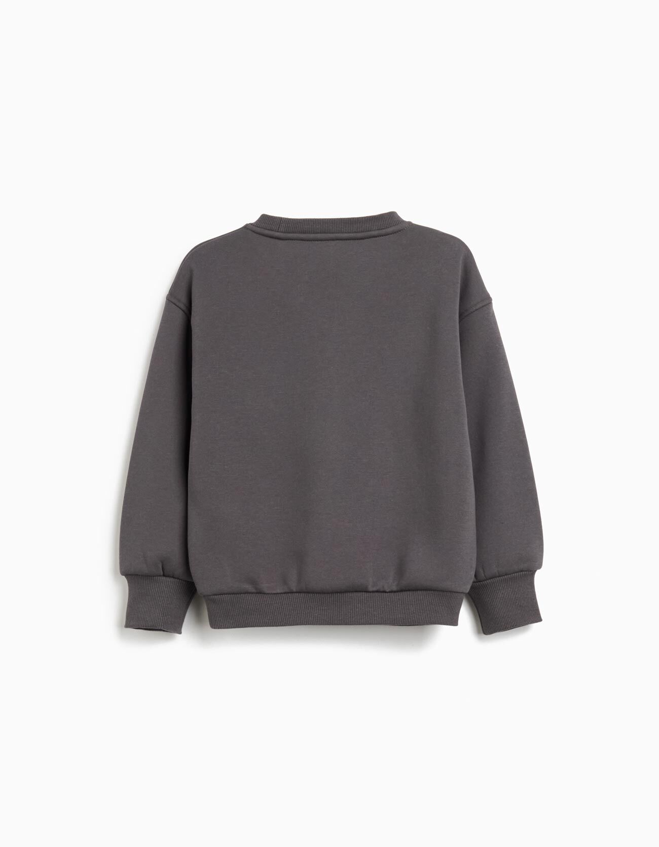 Comprar Online Sweatshirt de Felpa, Menina, Cinzento Escuro