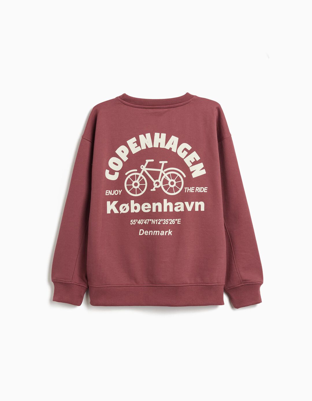 Sweatshirt de Felpa, Menino, Vermelho Escuro