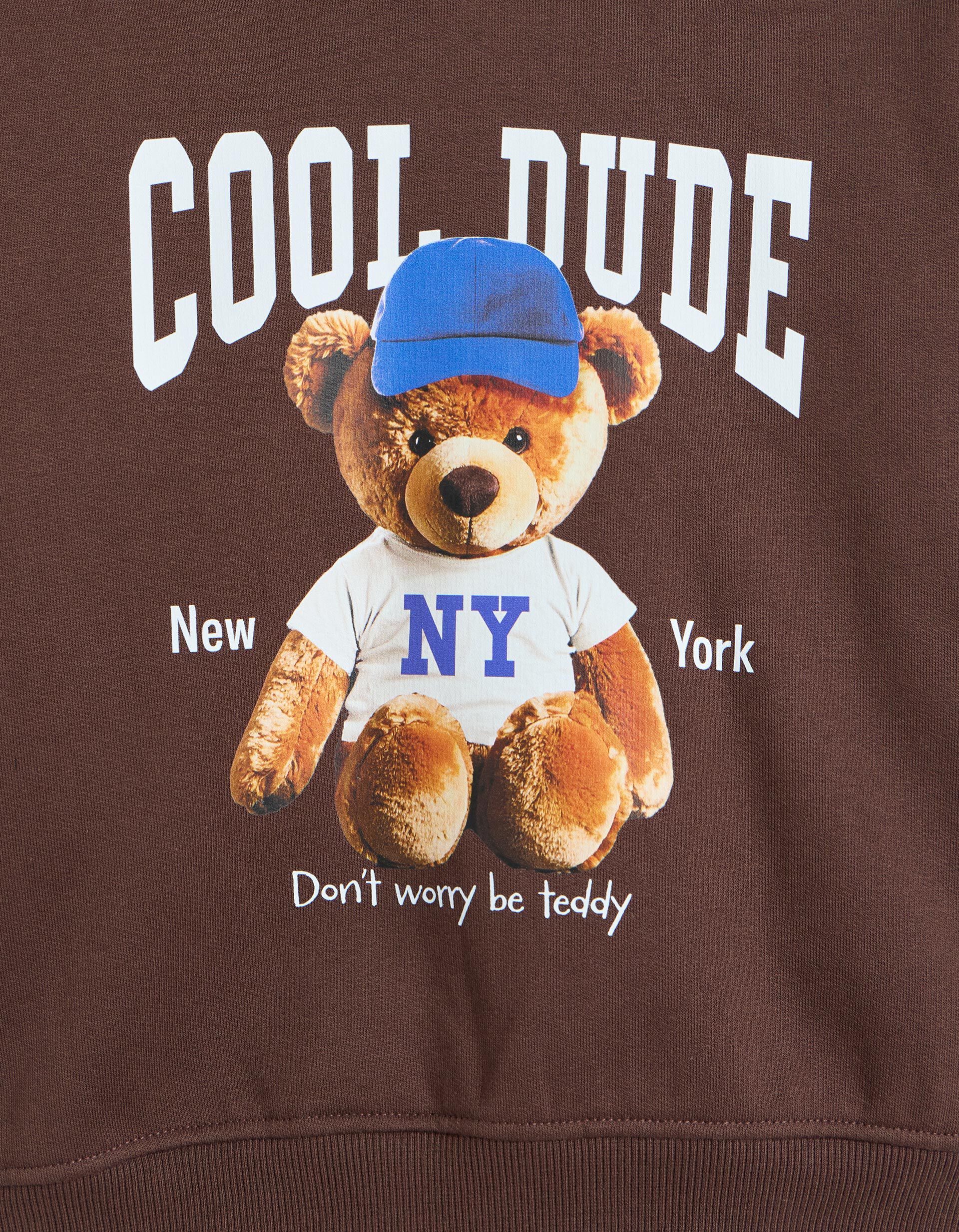 Comprar Online Sweatshirt Estampada Com Capuz, Menino, Castanho