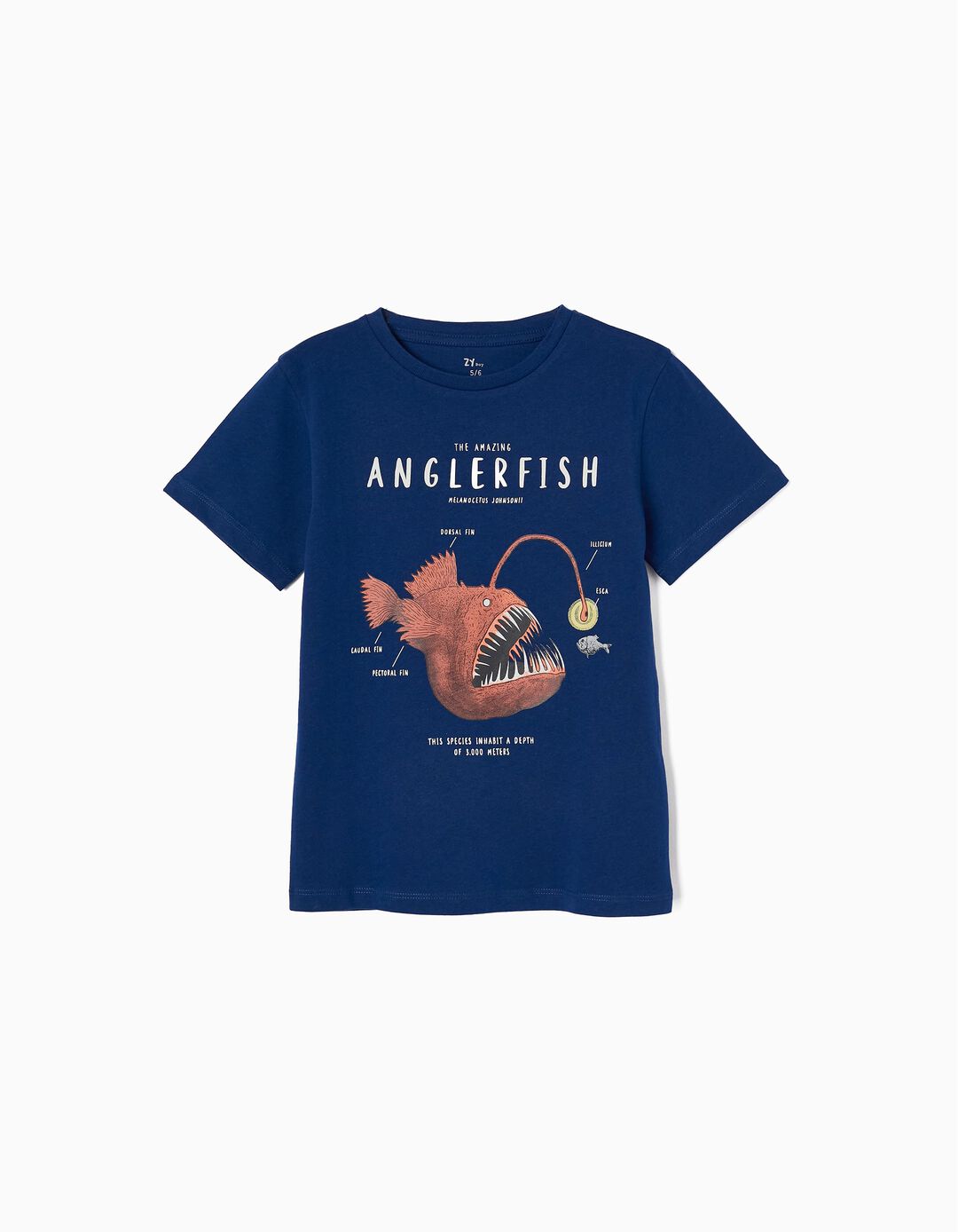 T-shirt para Menino 'Tamboril', Azul Escuro