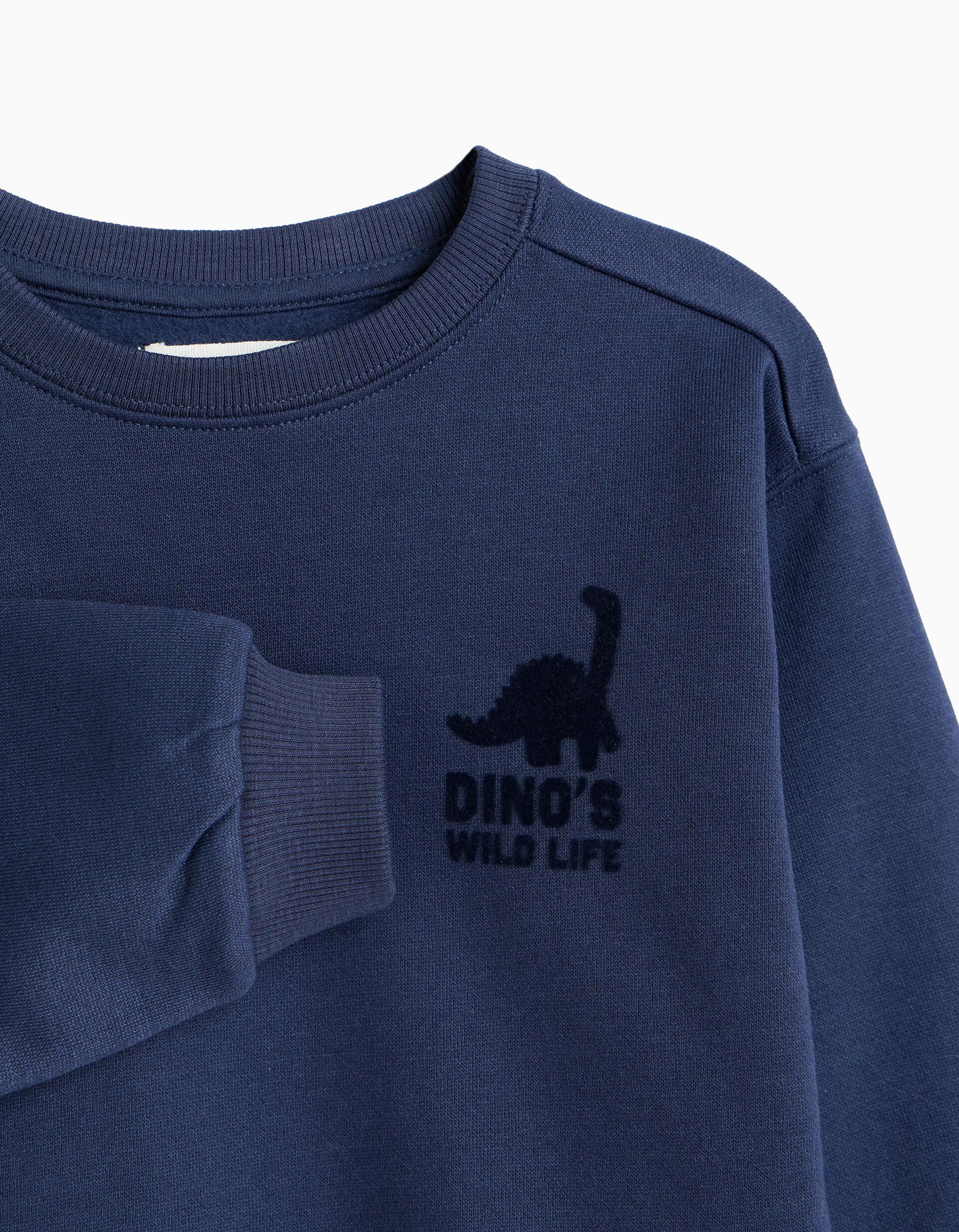 Comprar Online Sweatshirt Estampada, Menino, Azul Escuro