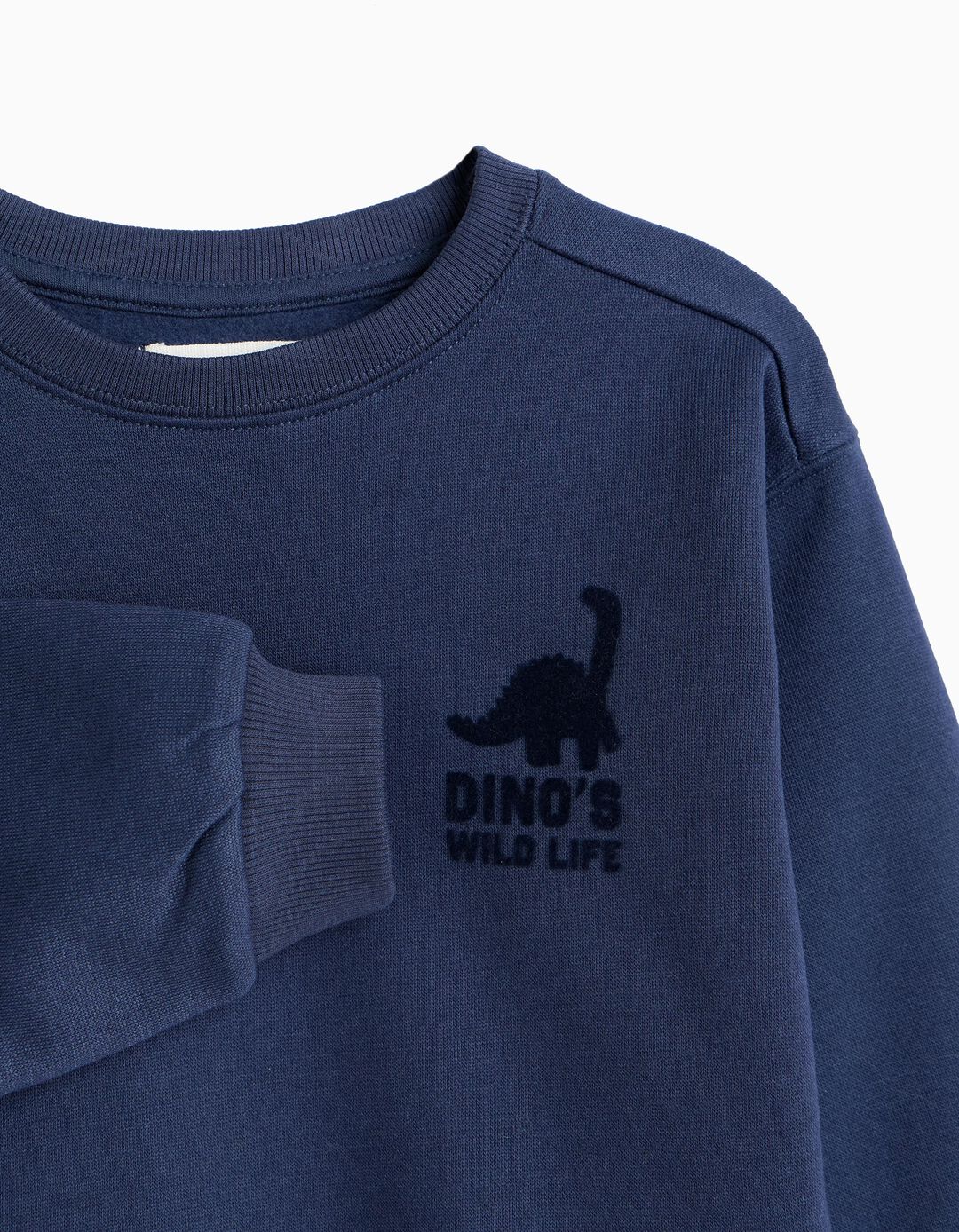 Sweatshirt Estampada, Menino, Azul Escuro