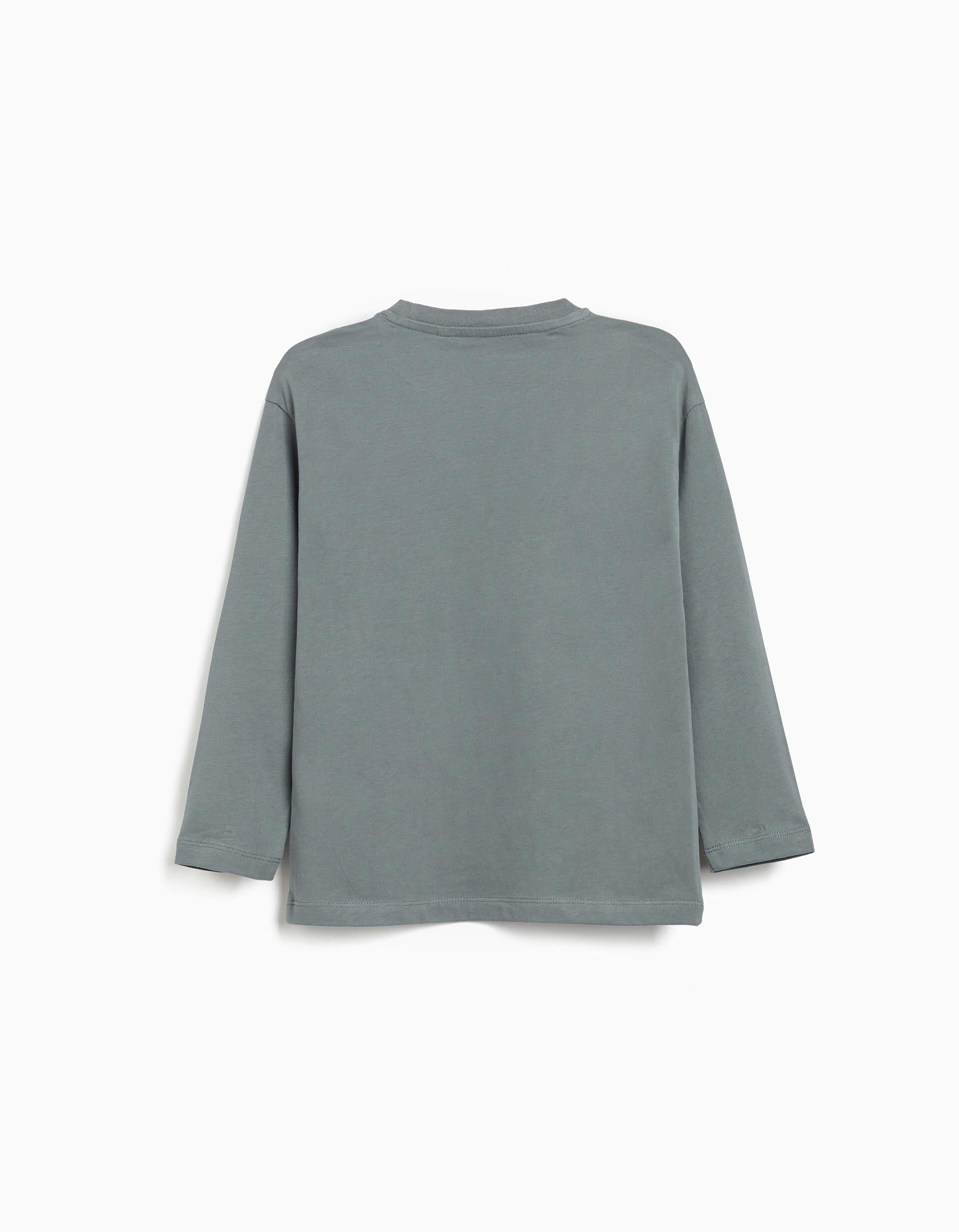 Comprar Online T-shirt de Manga Comprida Estampado, Menino, Azul