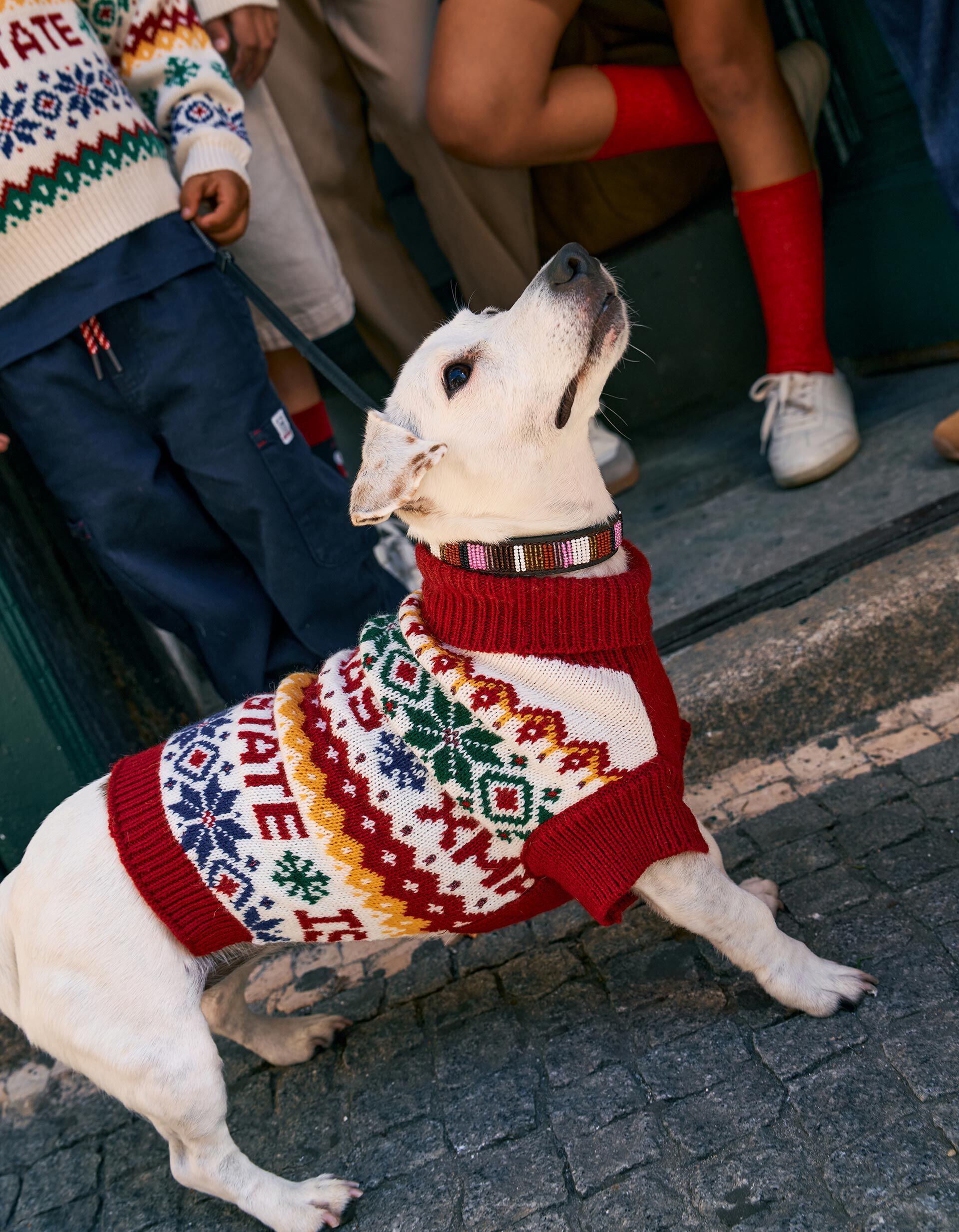 Comprar Online Camisola De Malha C&atilde;o, Vermelho