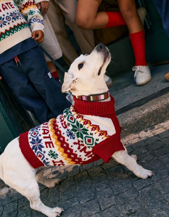 Comprar Online Camisola De Malha C&atilde;o, Vermelho
