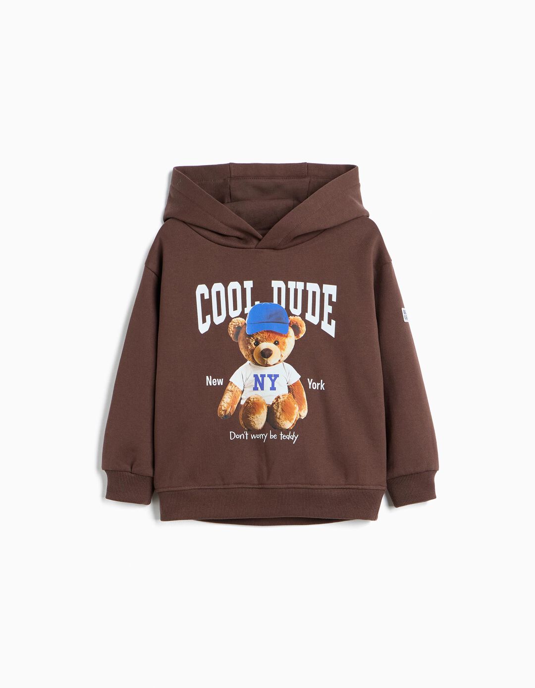 Sweatshirt Estampada Com Capuz, Menino, Castanho