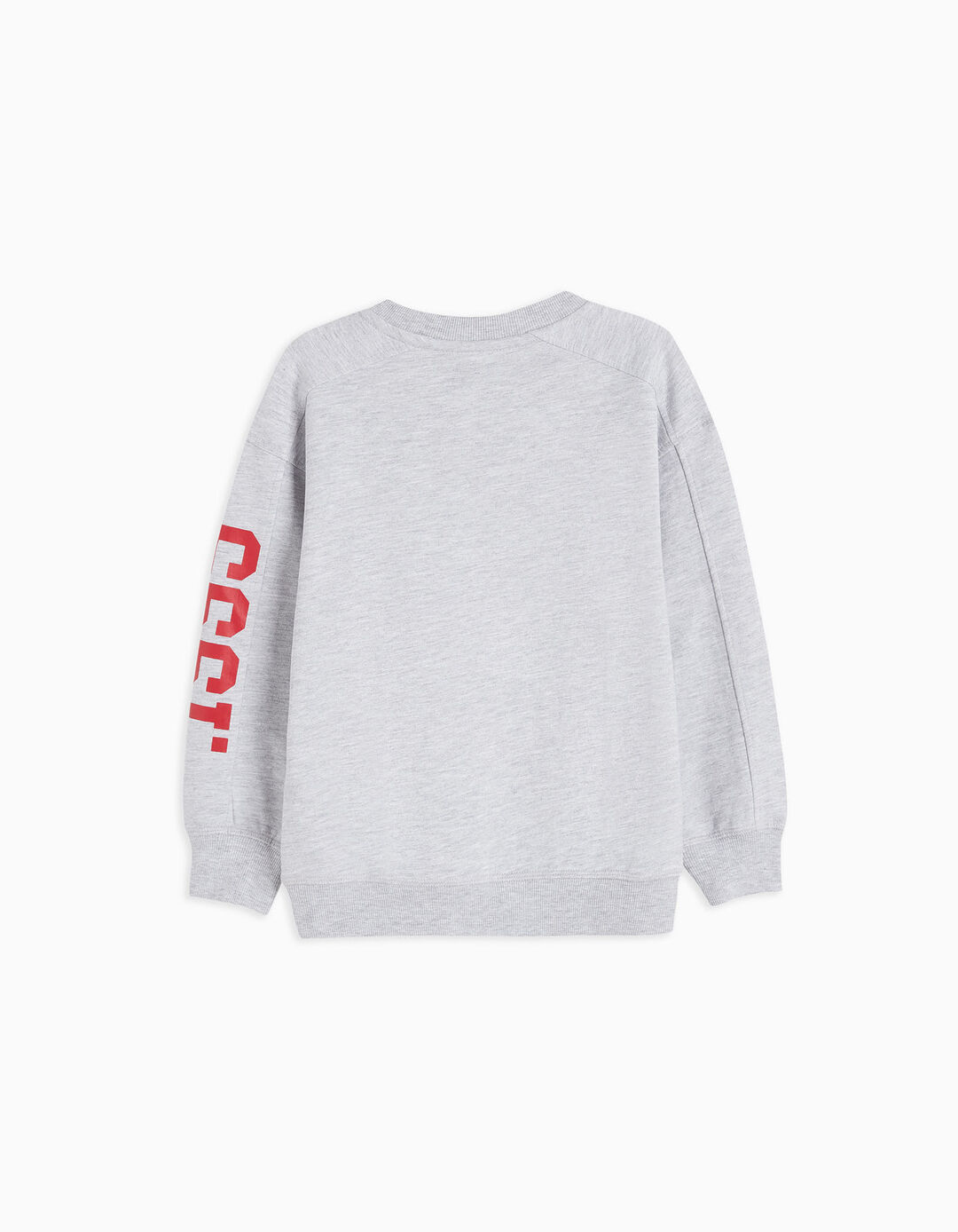 Fleece Sweatshirt, Boys, Light Grey