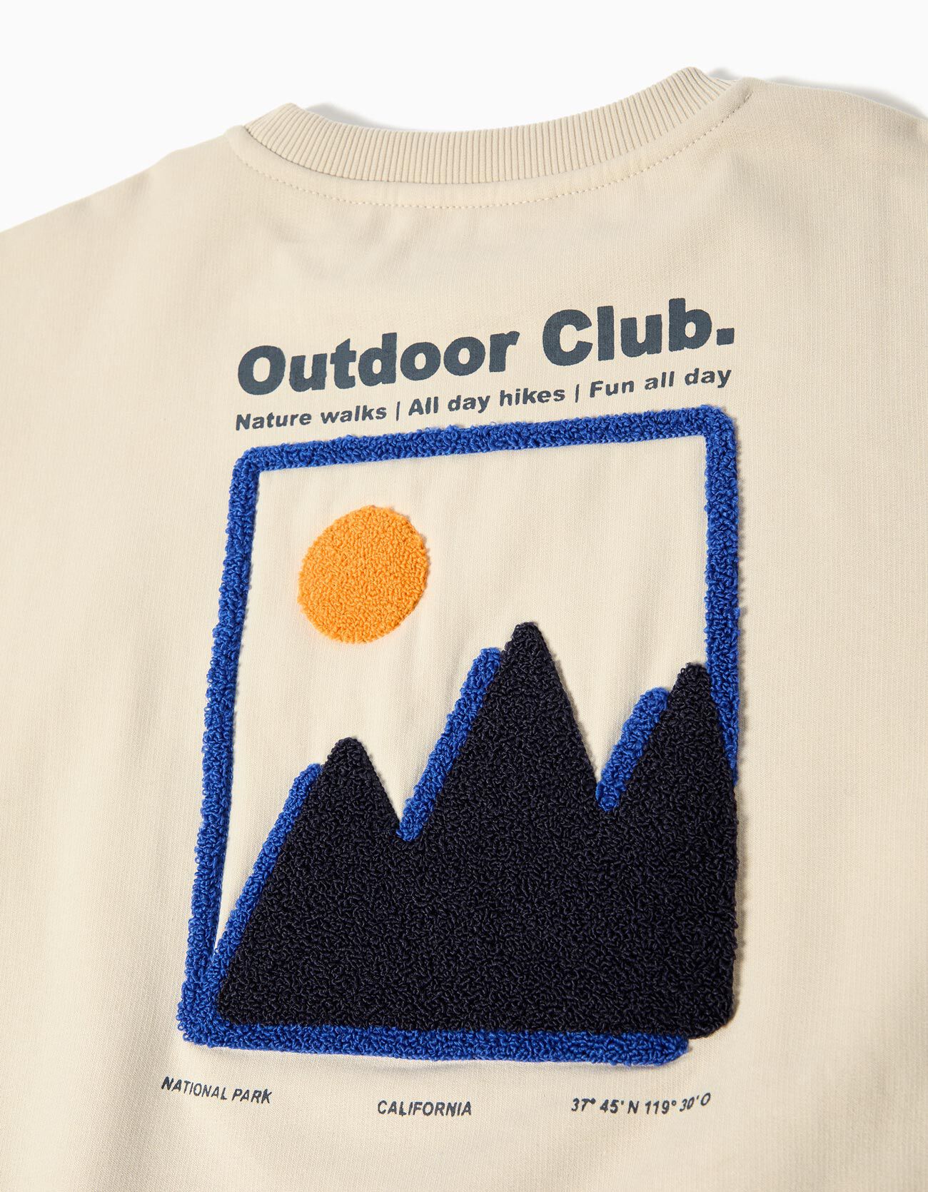 Comprar Online Sweatshirt de Felpa, Menino, Bege