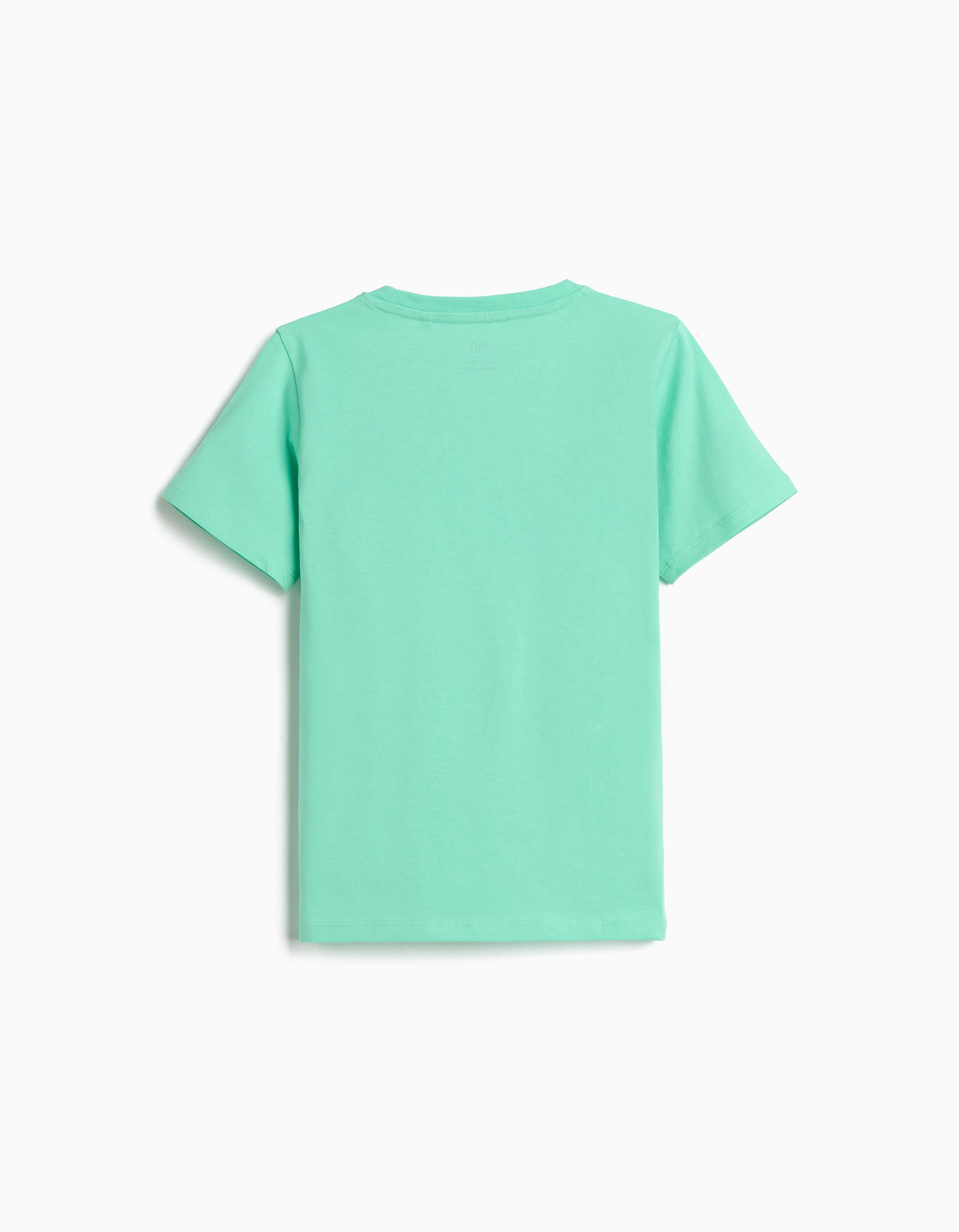 Comprar Online T-shirt Estampada, Menino, Verde Claro