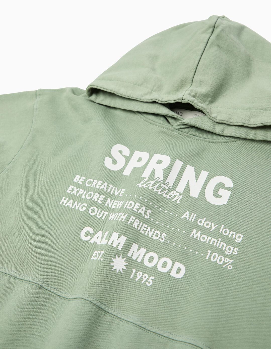 Sweatshirt com Capuz, Menino, Verde Claro