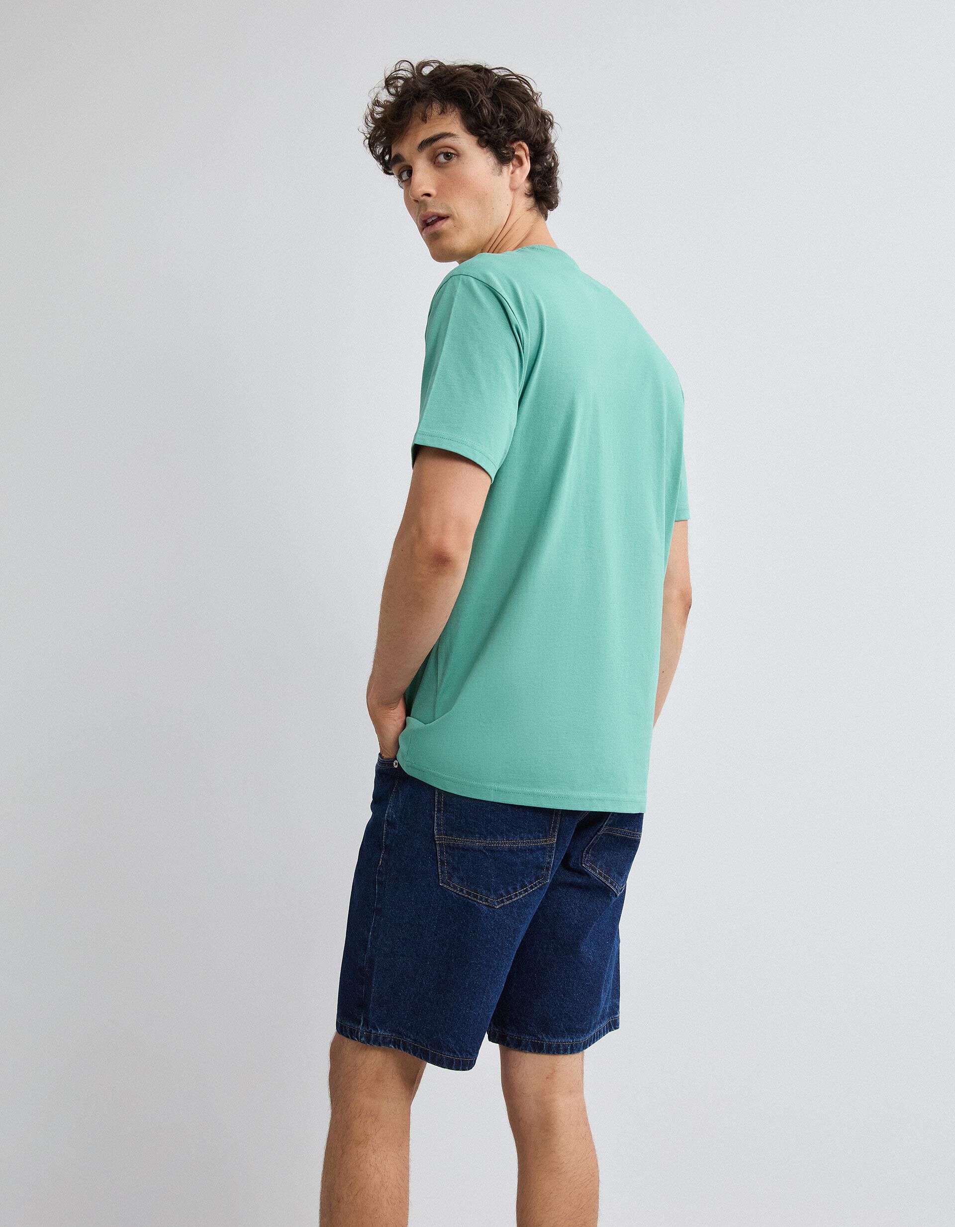 Comprar Online T-shirt Manga Curta, Homem, Verde Claro
