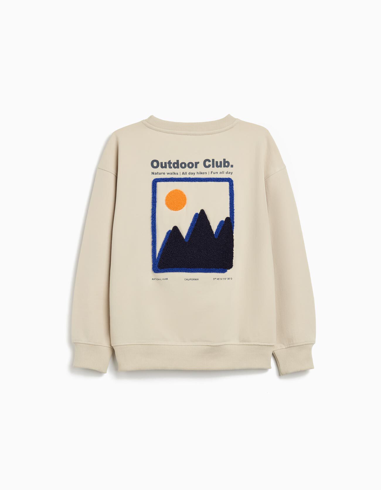 Comprar Online Sweatshirt de Felpa, Menino, Bege