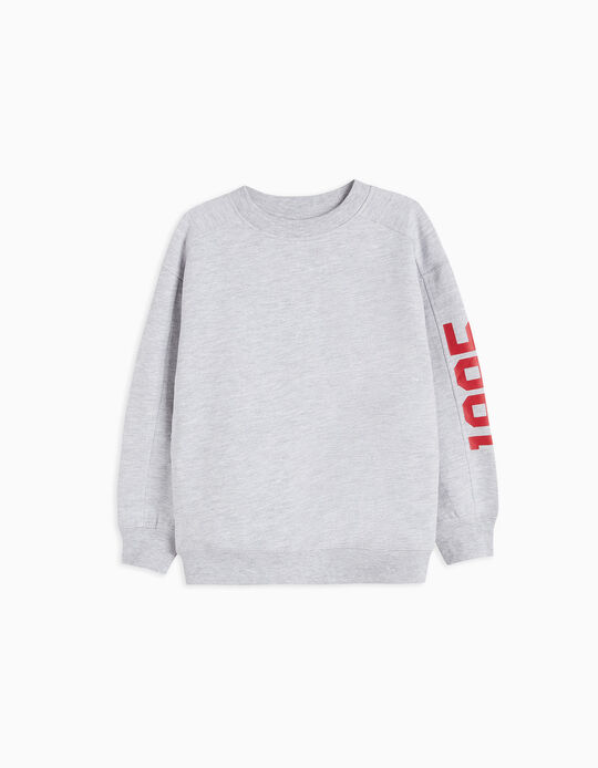 Comprar Online Fleece Sweatshirt, Boys, Light Grey