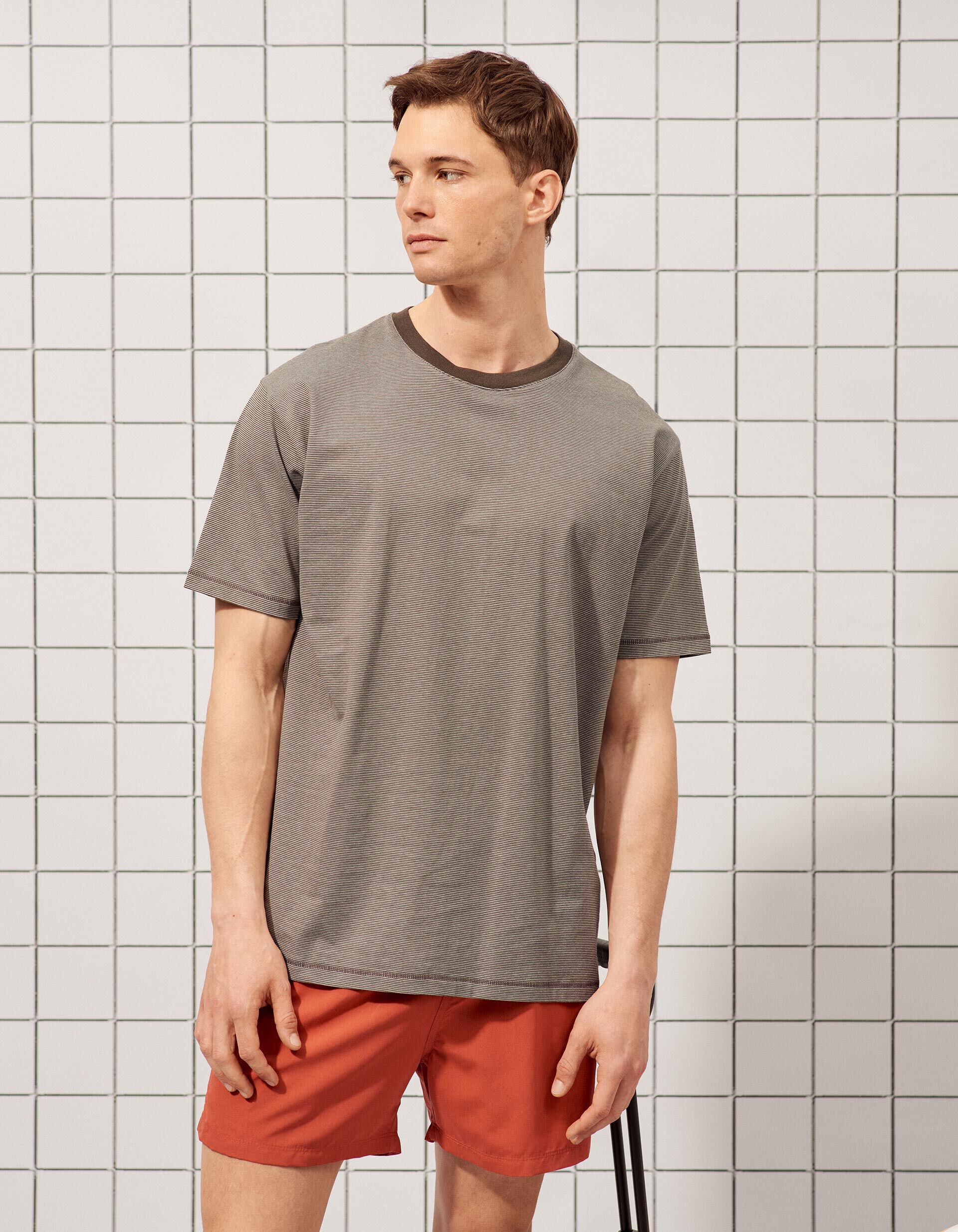 Comprar Online T-shirt Riscas, Homem, Castanho