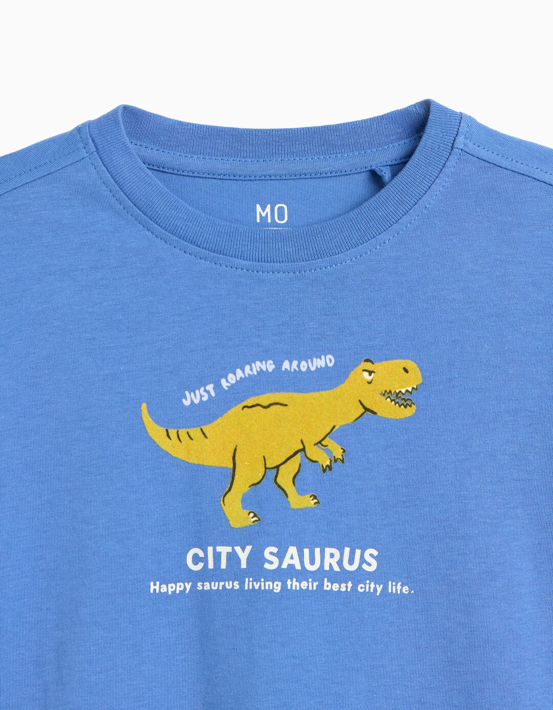 T-shirt Estampada, Menino, Azul
