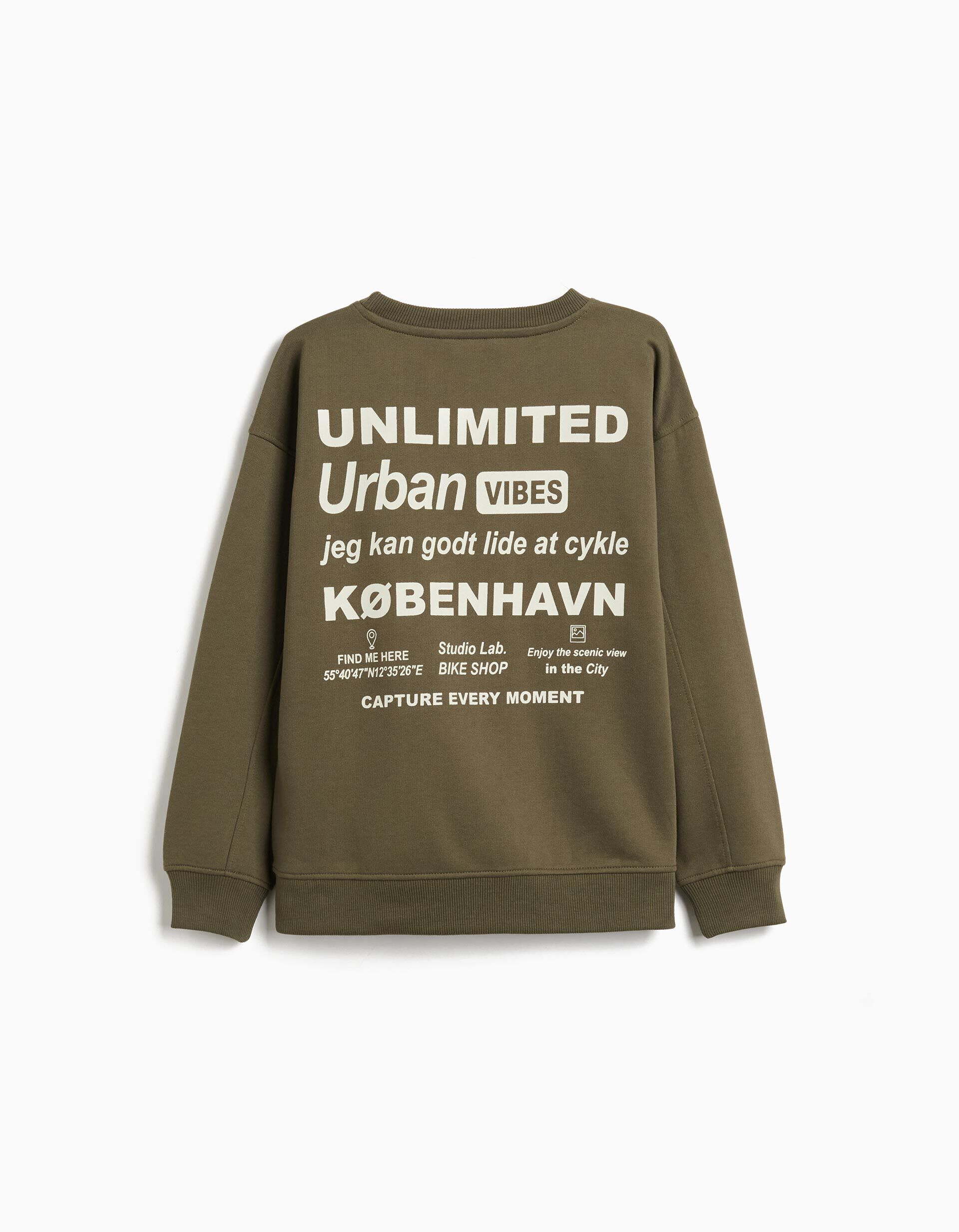 Comprar Online Sweatshirt de Felpa, Menino, Verde Escuro