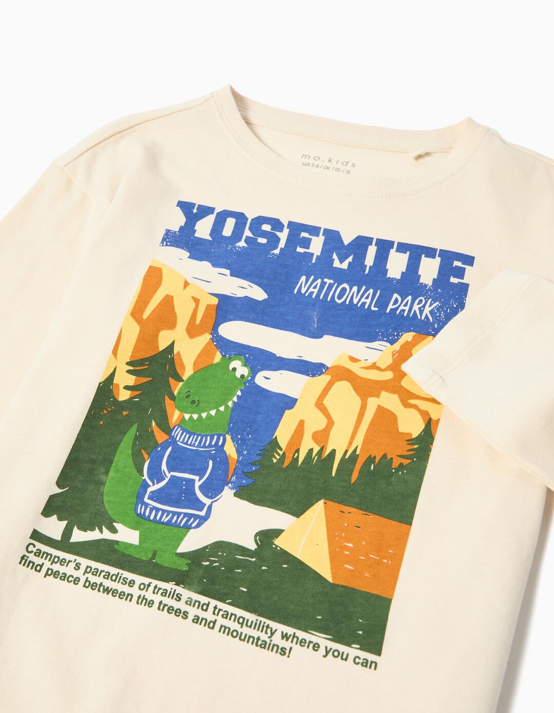 T-shirt de Manga Comprida Estampado, Menino, Bege 