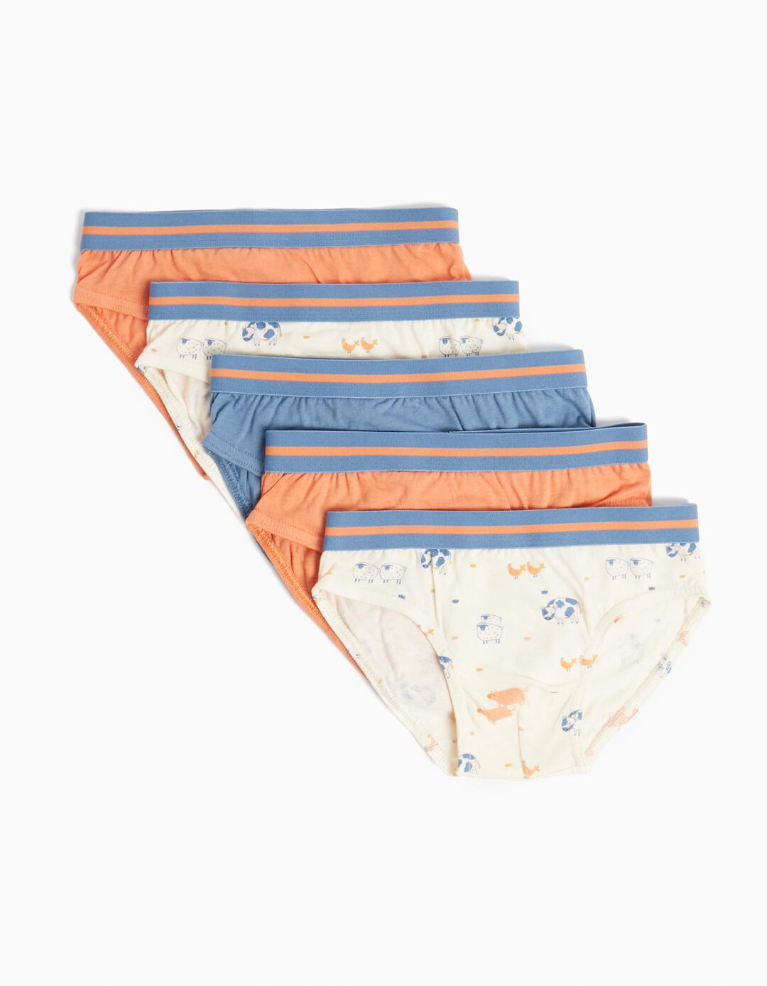 Pack 5 Underpants, Boy, Multicolor