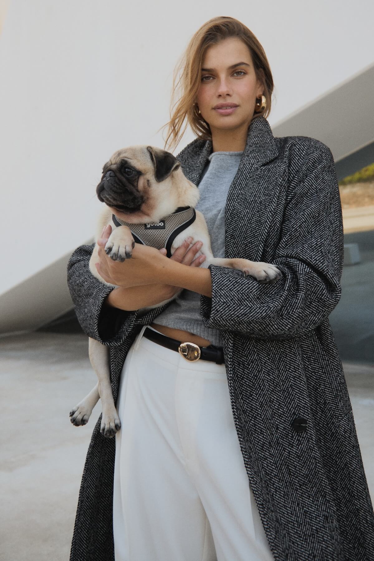 Dia das Compras na net -25% em TUDO