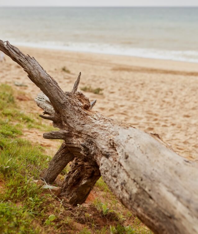 Sustentabilidade | MO