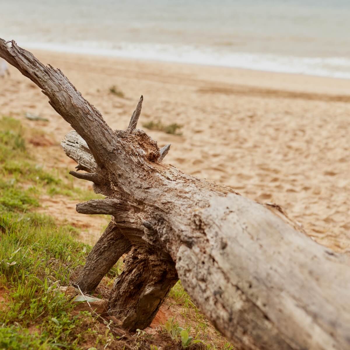 Sustentabilidade | MO